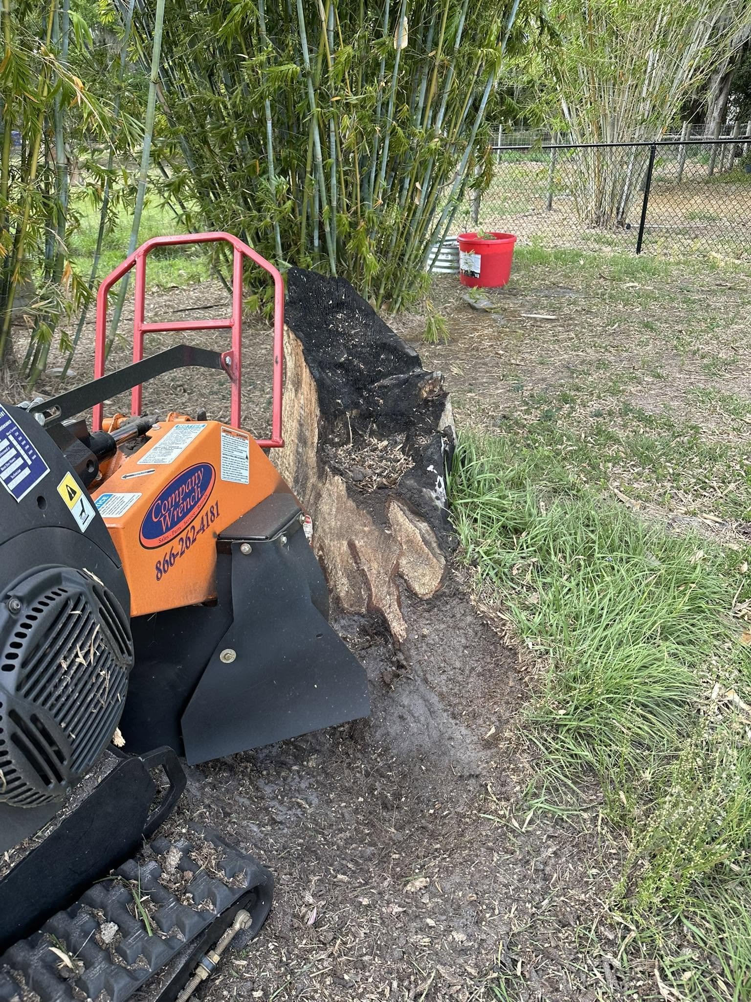 Stump grinder positioned beside a tree stump near a bamboo grove.
